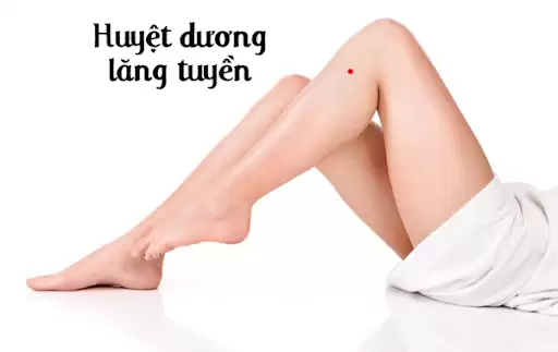 Huyệt dương lăng tuyền bấm