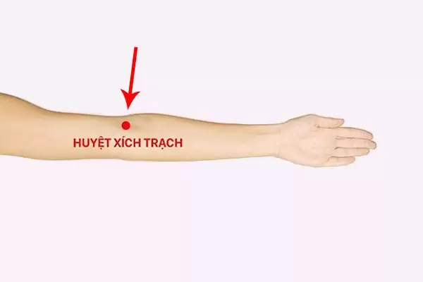 Huyệt Xích Trạch