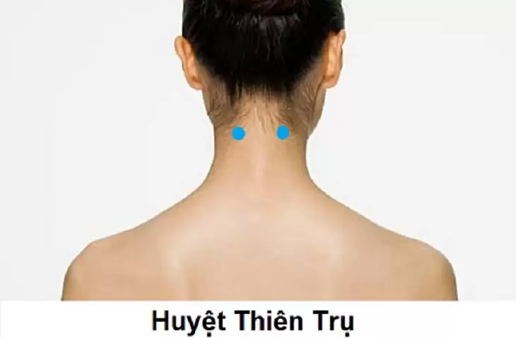 các huyệt trên đầu