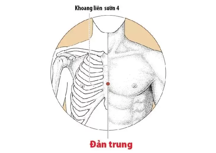 các huyệt tốt cho phổi