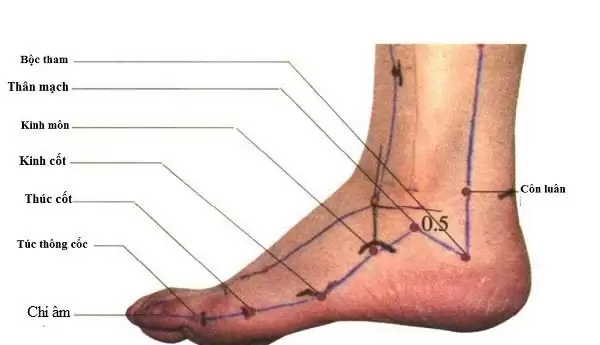 Vị trí và tác dụng huyệt chí âm