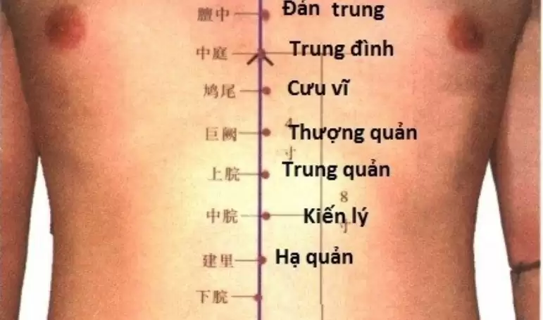 Vị trí huyệt thượng quản ở đâu?