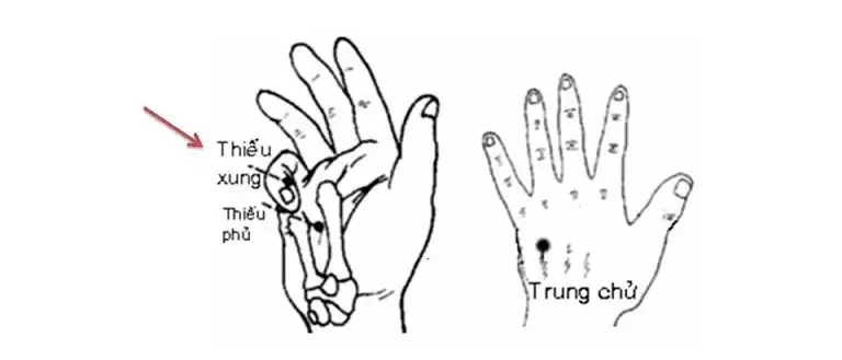 Tác dụng của huyệt Thiếu Xung