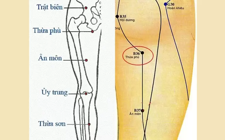 huyệt Ân Môn