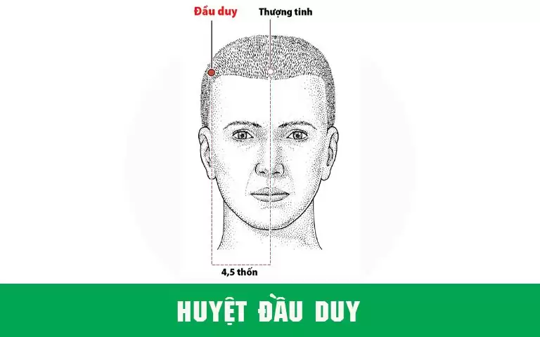 Vị trí và tác dụng huyệt đầu duy