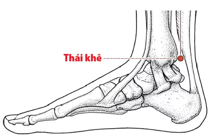 Xác định vị trí huyệt thái khê