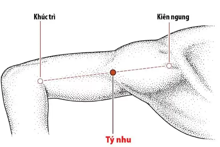 Huyệt kiên ngung nằm ở đâu và có tác dụng gì?