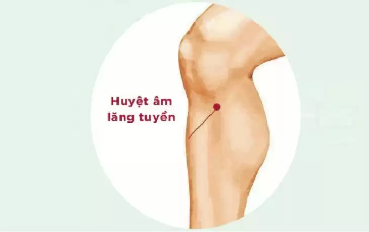 Vị trí và tác dụng của huyệt Âm Lăng Tuyền