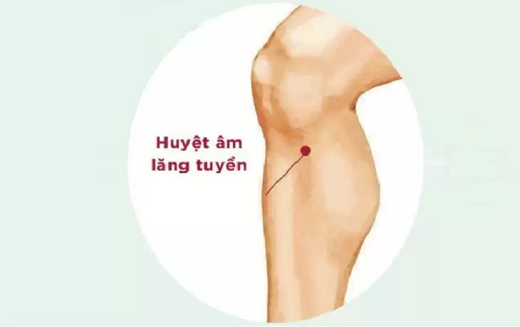 huyệt âm lăng tuyền