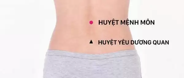 Vị trí và tác dụng huyệt Dương Quan