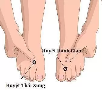 huyệt hành gian