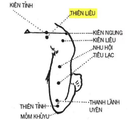 huyệt Thiên Liêu