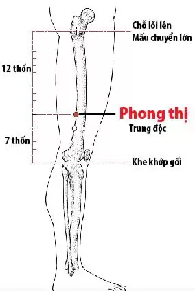 huyệt phong thị