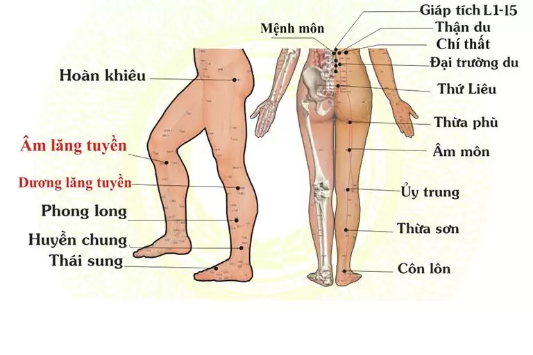 Bấm huyệt điều trị khô cứng khớp