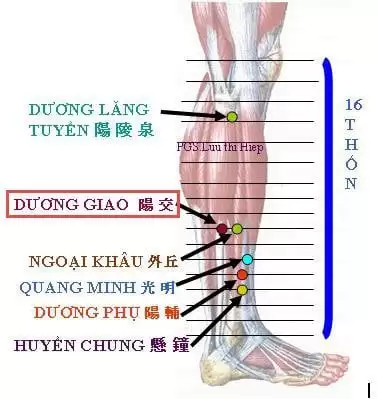 huyệt dương giao