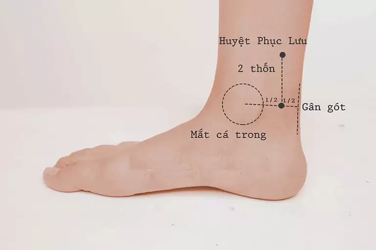 Huyệt Phục Lưu