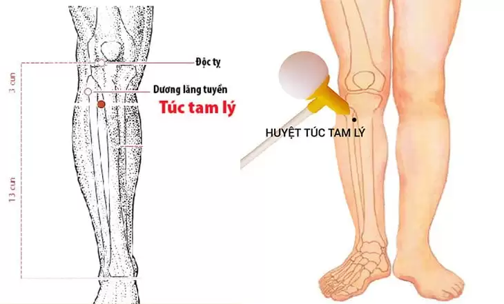 huyệt Túc Tam Lý